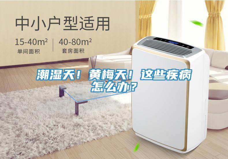 潮濕天！黃梅天！這些疾病怎么辦？