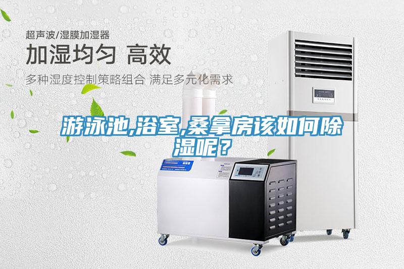 游泳池,浴室,桑拿房該如何除濕呢？
