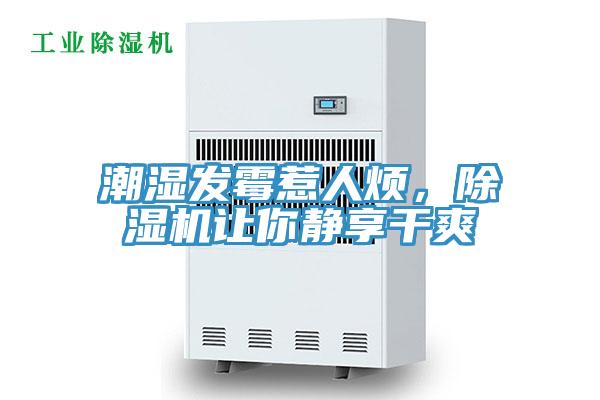 潮濕發(fā)霉惹人煩，除濕機(jī)讓你靜享干爽