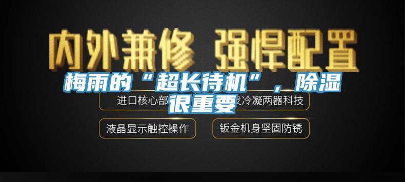 梅雨的“超長(zhǎng)待機(jī)”，除濕很重要