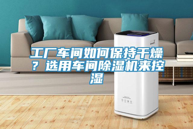 工廠車間如何保持干燥？選用車間除濕機(jī)來控濕