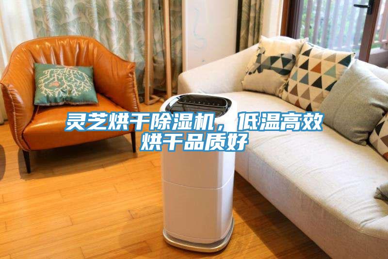 靈芝烘干除濕機(jī)，低溫高效烘干品質(zhì)好