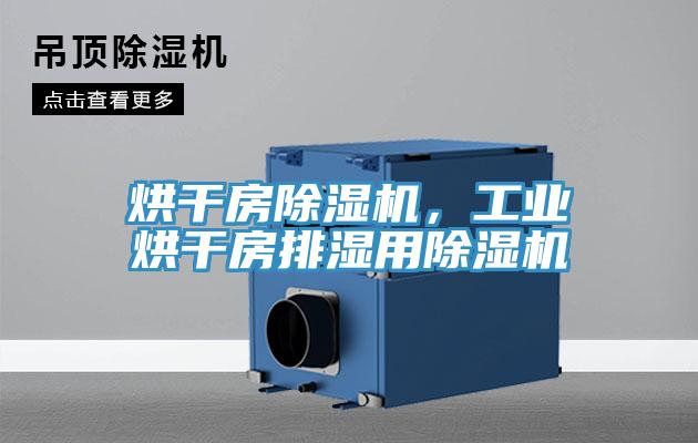 烘干房除濕機，工業(yè)烘干房排濕用除濕機
