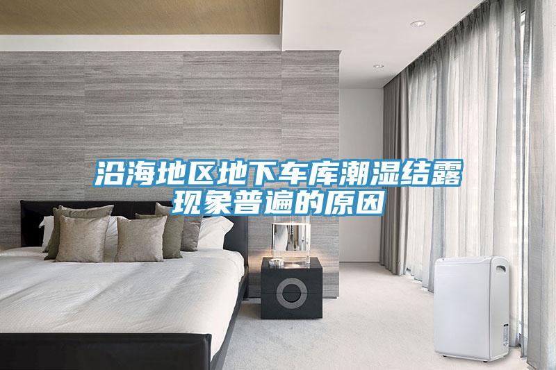 沿海地區(qū)地下車(chē)庫(kù)潮濕結(jié)露現(xiàn)象普遍的原因