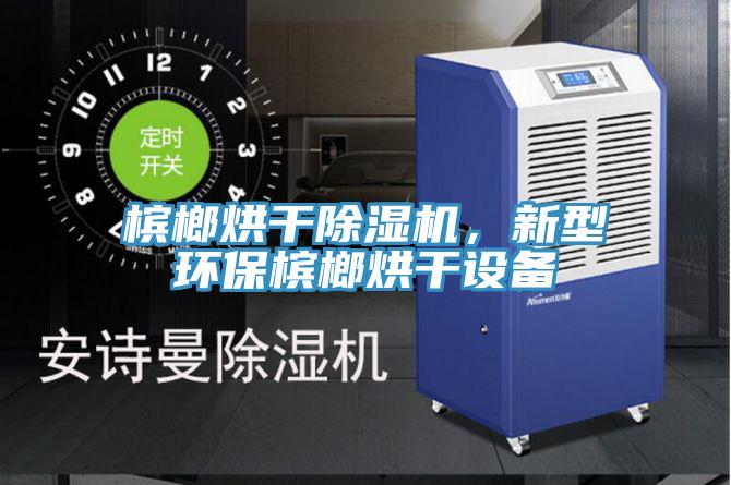 檳榔烘干除濕機(jī)，新型環(huán)保檳榔烘干設(shè)備