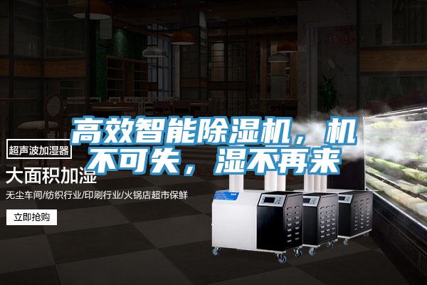 高效智能除濕機(jī)，機(jī)不可失，濕不再來