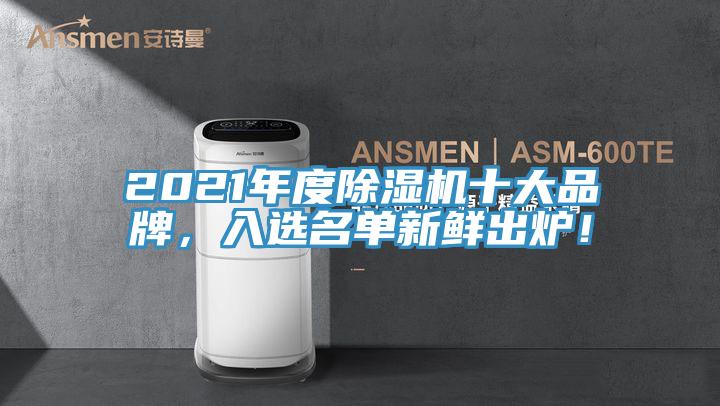 2021年度除濕機十大品牌，入選名單新鮮出爐！
