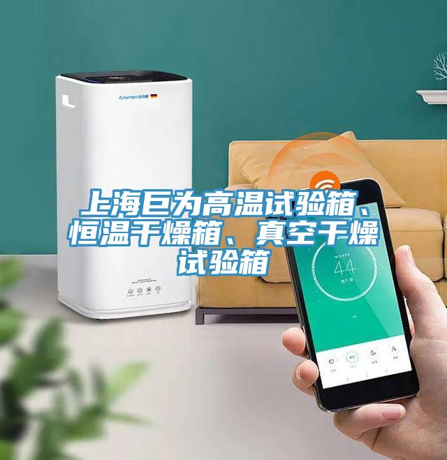 上海巨為高溫試驗(yàn)箱、恒溫干燥箱、真空干燥試驗(yàn)箱