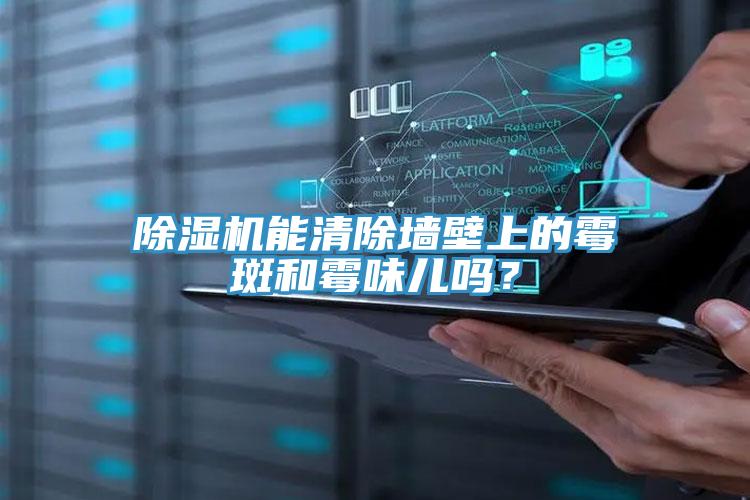 除濕機(jī)能清除墻壁上的霉斑和霉味兒嗎？