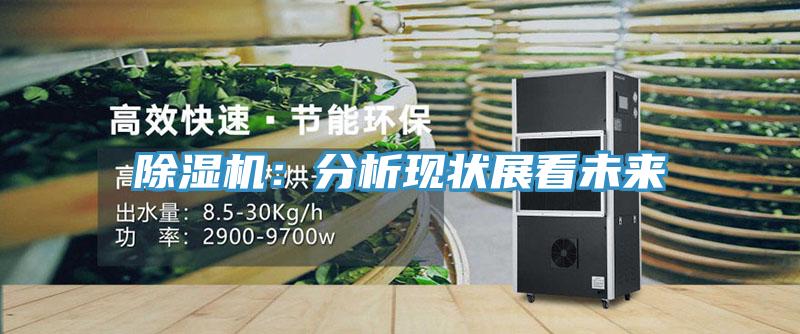 除濕機(jī)：分析現(xiàn)狀展看未來
