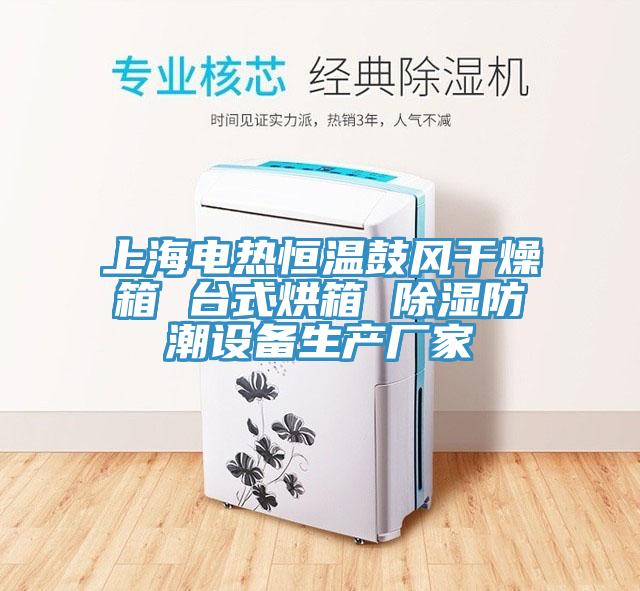 上海電熱恒溫鼓風干燥箱 臺式烘箱 除濕防潮設(shè)備生產(chǎn)廠家