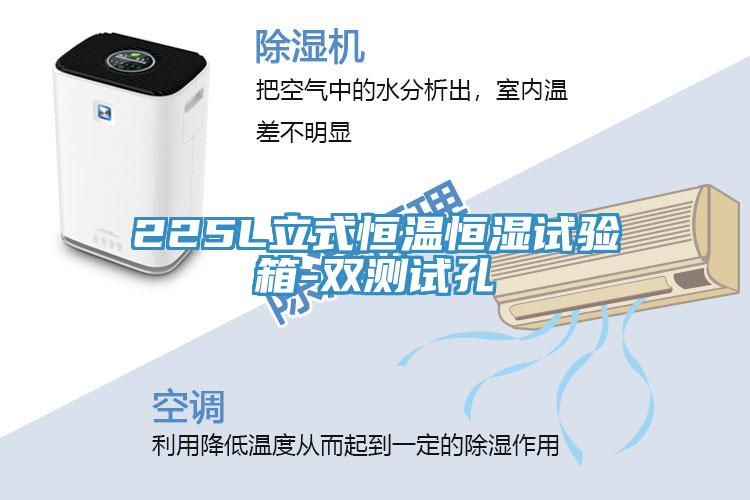 225L立式恒溫恒濕試驗箱-雙測試孔
