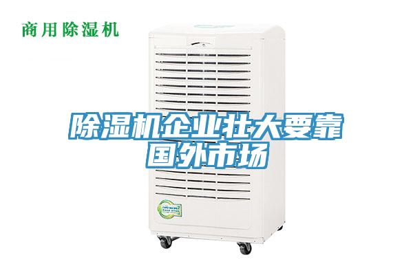 除濕機企業(yè)壯大要靠國外市場
