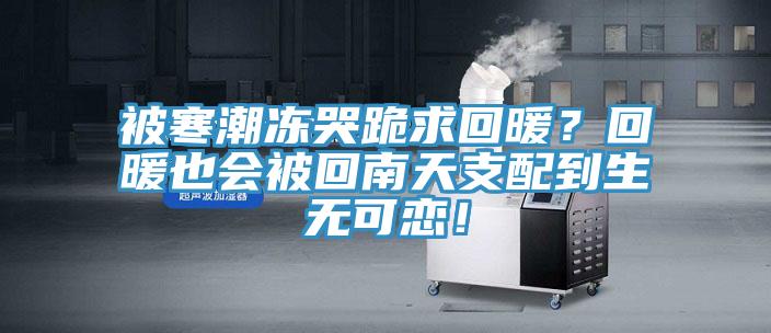 被寒潮凍哭跪求回暖？回暖也會(huì)被回南天支配到生無可戀！