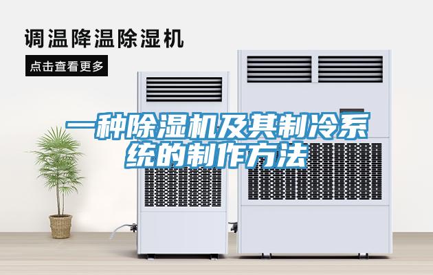 一種除濕機(jī)及其制冷系統(tǒng)的制作方法