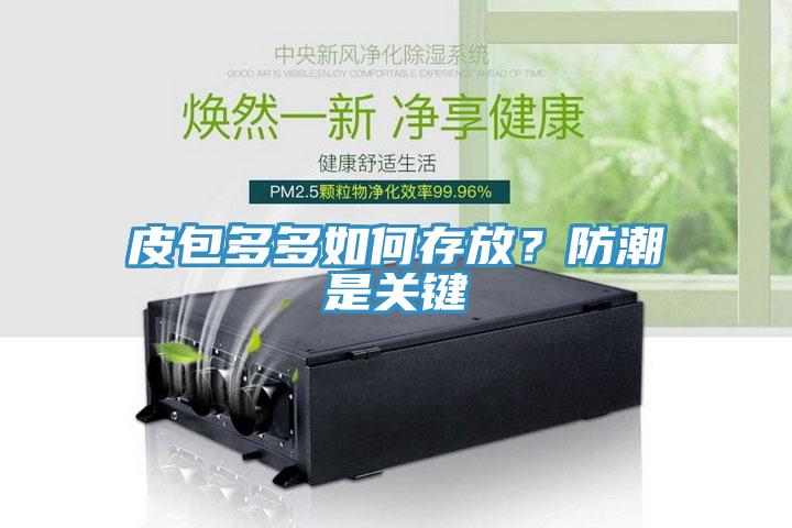 皮包多多如何存放？防潮是關(guān)鍵