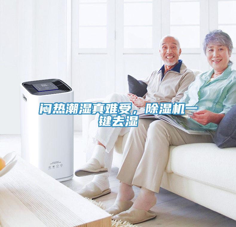 悶熱潮濕真難受，除濕機(jī)一鍵去濕