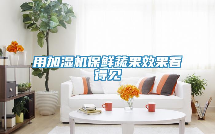 用加濕機(jī)保鮮蔬果效果看得見(jiàn)