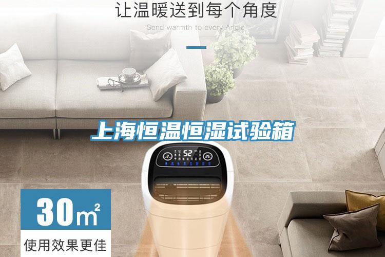 上海恒溫恒濕試驗(yàn)箱