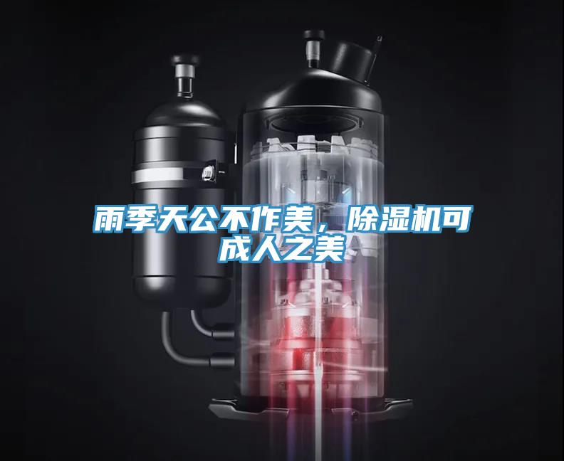雨季天公不作美，除濕機可成人之美