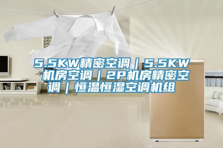 5.5KW精密空調(diào)｜5.5KW 機(jī)房空調(diào)｜2P機(jī)房精密空調(diào)｜恒溫恒濕空調(diào)機(jī)組