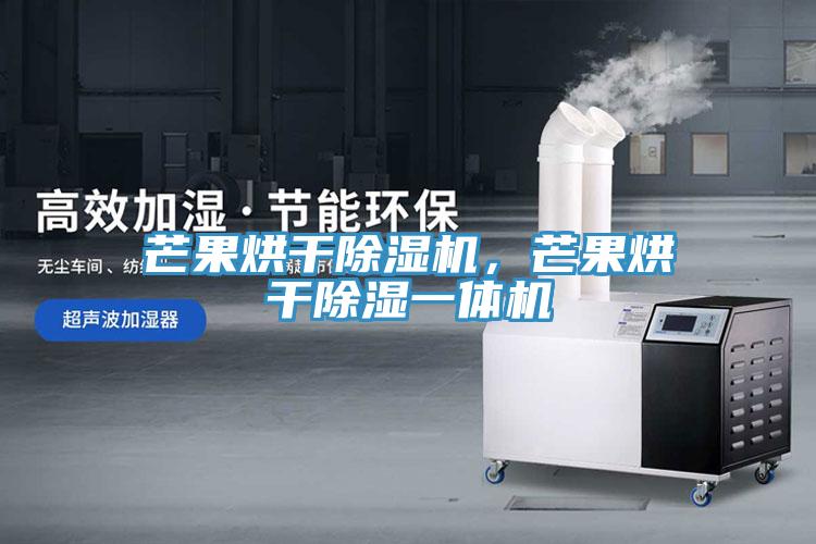 芒果烘干除濕機(jī)，芒果烘干除濕一體機(jī)