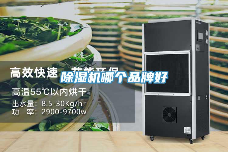 除濕機哪個品牌好