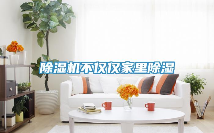 除濕機(jī)不僅僅家里除濕