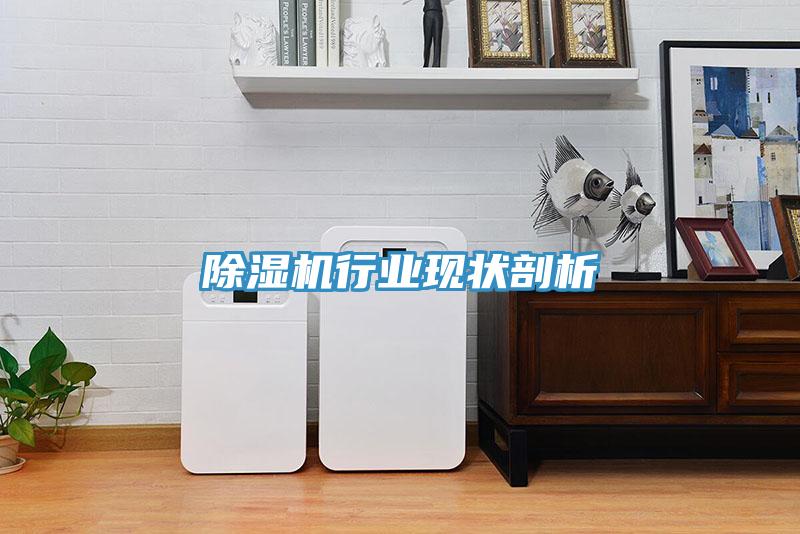 除濕機行業(yè)現(xiàn)狀剖析