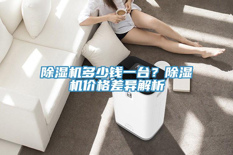 除濕機多少錢一臺？除濕機價格差異解析