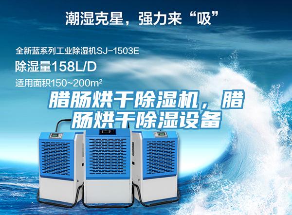 臘腸烘干除濕機，臘腸烘干除濕設備
