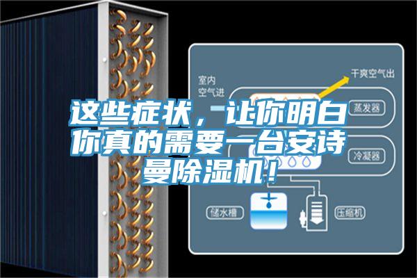這些癥狀，讓你明白你真的需要一臺安詩曼除濕機！