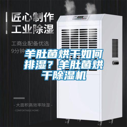 羊肚菌烘干如何排濕？羊肚菌烘干除濕機(jī)