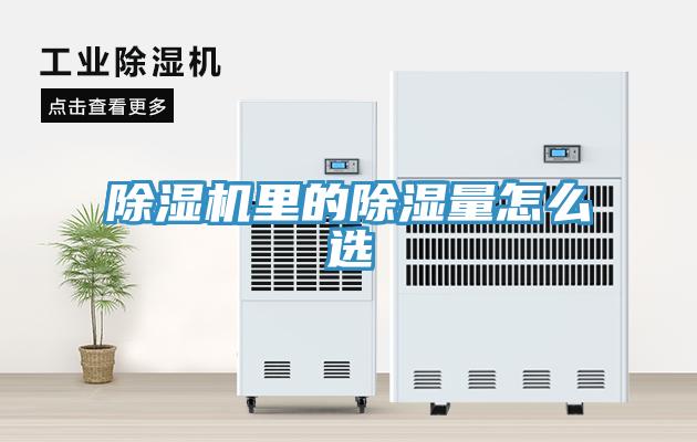 除濕機里的除濕量怎么選