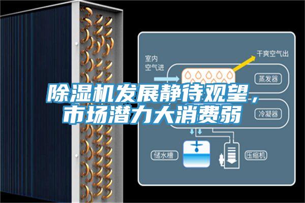 除濕機(jī)發(fā)展靜待觀望，市場(chǎng)潛力大消費(fèi)弱
