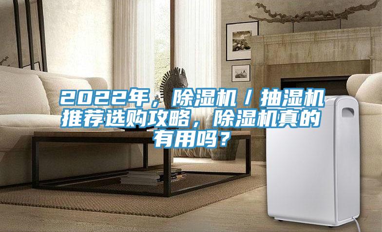 2022年，除濕機／抽濕機推薦選購攻略，除濕機真的有用嗎？