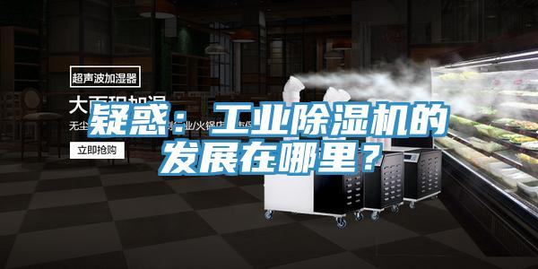 疑惑：工業(yè)除濕機的發(fā)展在哪里？