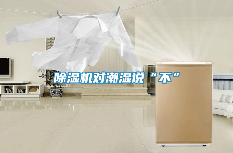 除濕機(jī)對潮濕說“不”