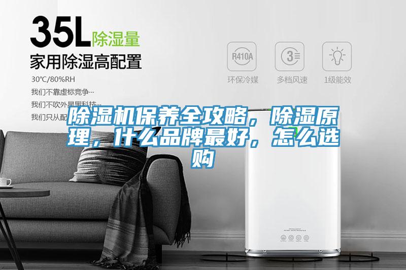 除濕機保養(yǎng)全攻略，除濕原理，什么品牌最好，怎么選購