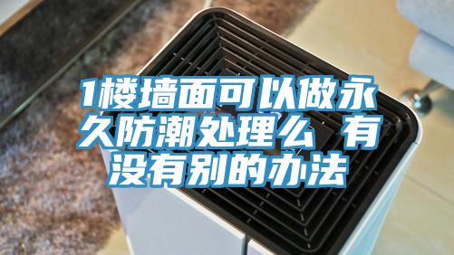 1樓墻面可以做永久防潮處理么 有沒有別的辦法