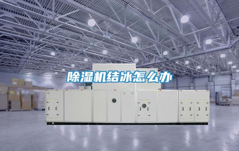 除濕機(jī)結(jié)冰怎么辦