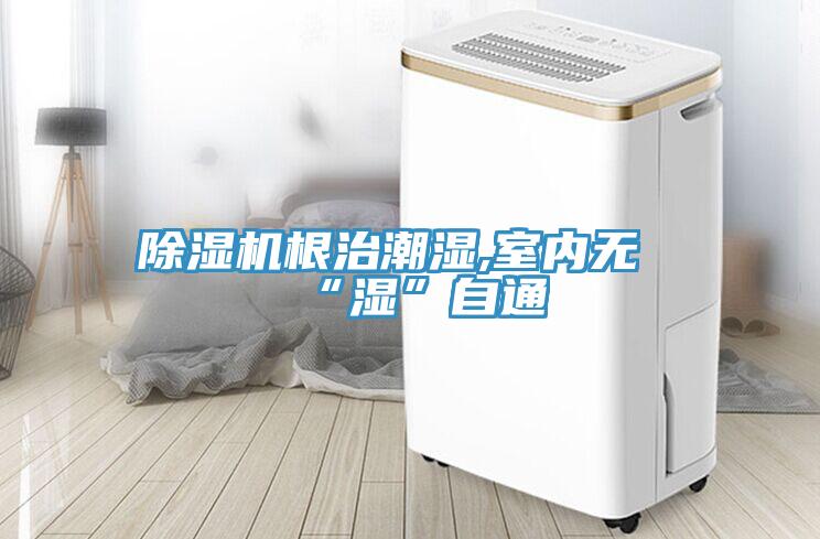 除濕機(jī)根治潮濕,室內(nèi)無(wú)“濕”自通