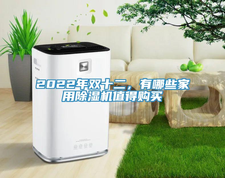 2022年雙十二，有哪些家用除濕機(jī)值得購買