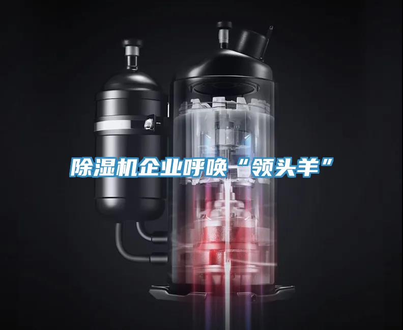 除濕機企業(yè)呼喚“領(lǐng)頭羊”