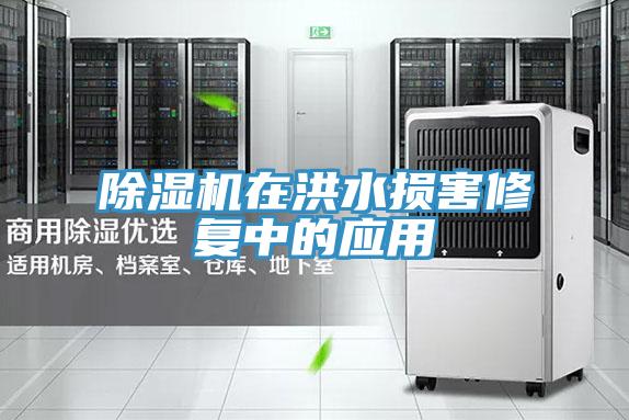 除濕機在洪水損害修復(fù)中的應(yīng)用