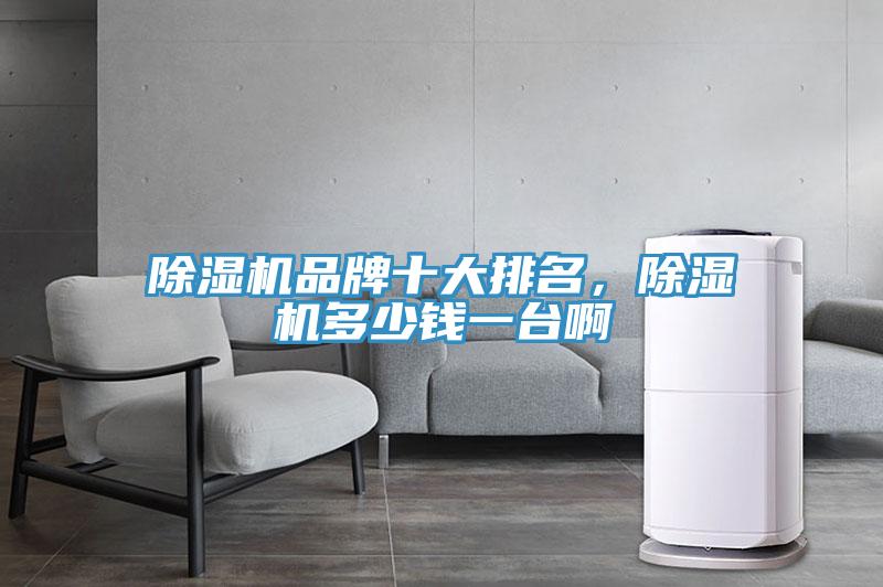 除濕機(jī)品牌十大排名，除濕機(jī)多少錢一臺(tái)啊