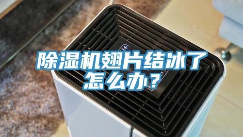 除濕機(jī)翅片結(jié)冰了怎么辦？