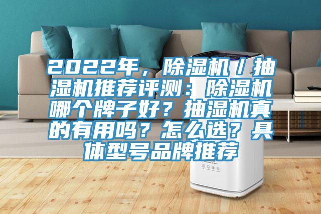 2022年，除濕機／抽濕機推薦評測：除濕機哪個牌子好？抽濕機真的有用嗎？怎么選？具體型號品牌推薦