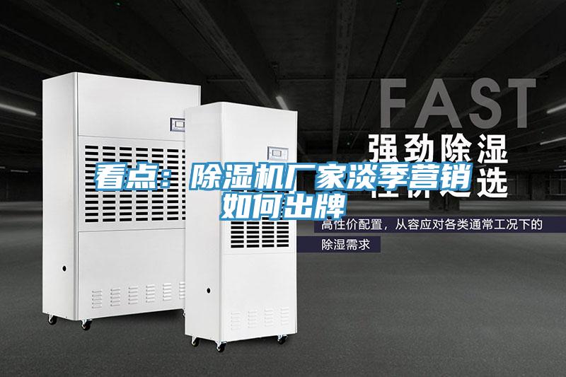 看點：除濕機(jī)廠家淡季營銷如何出牌