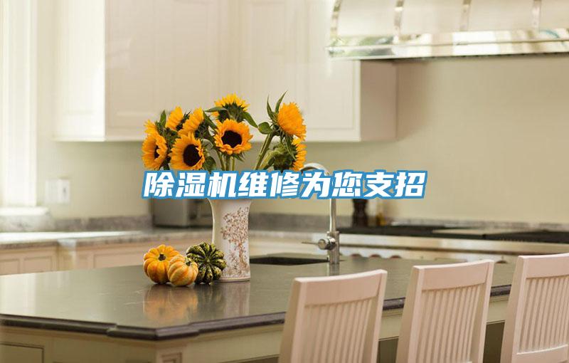 除濕機(jī)維修為您支招